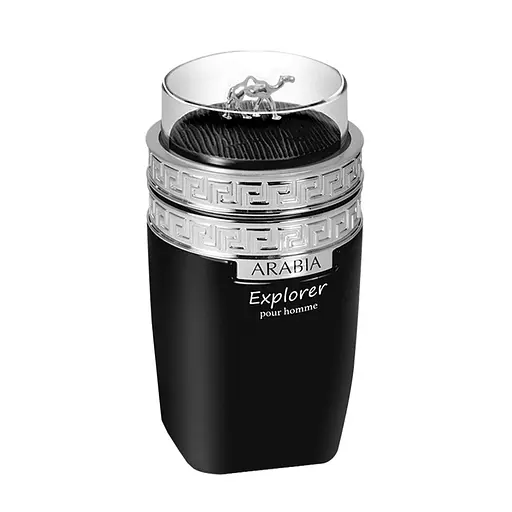 Парфюмированная вода мужская Le Chameau Arabia Explorer 100 мл (MM36090)
