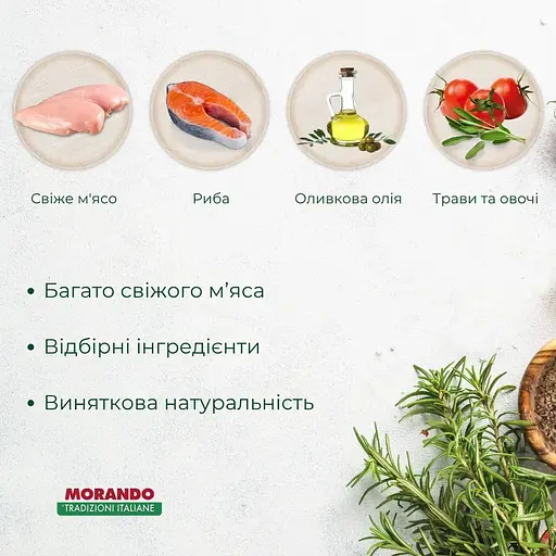 Сухой корм для котят Morando Tradizioni Kitten с курицей и лососем 400 г - фото 3