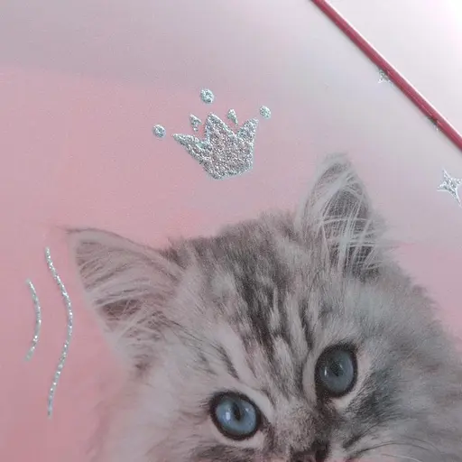 Папка на резинке Kite Rachael Hale А4 (R25-247) - фото 5