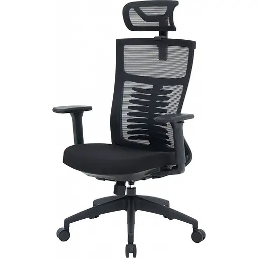 Офісне крісло OfficePro Balance OC550-B-B-B Black [148644] - фото 3