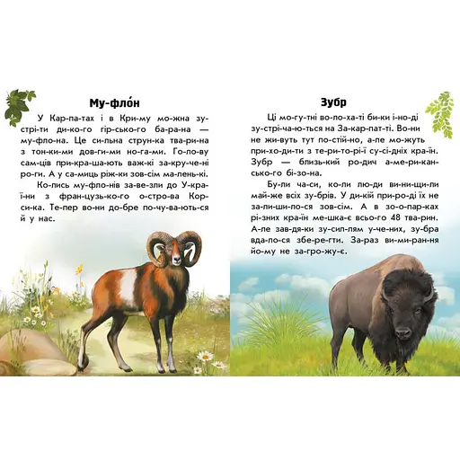 Читаю про Украину по слогам "Животные гор" 366021 с цветными иллюстрациями - фото 3