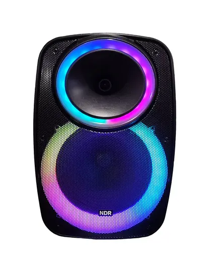 Профессиональная Bluetooth колонкa NDR-A55 15-дюймовая с беспроводным микрофоном - фото 2