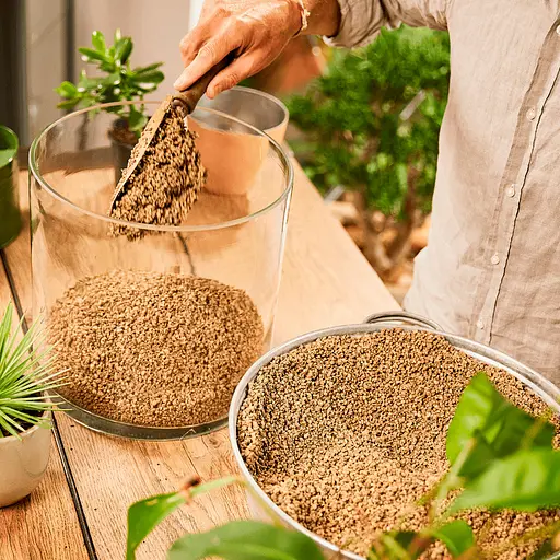 Субстрат Compo Bio Granuplant для кімнатних рослин 3 л (8817) - фото 4