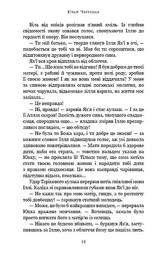 Богатир. Книга 1. Сталеве жезло - фото 13