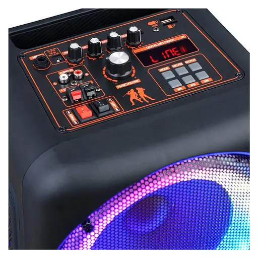 Портативная колонка BIG JB X828 два радио микрофона, караоке - фото 2