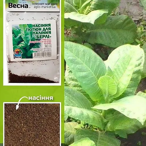 Насіння Тютюн для паління "Берлі" (Зипер) ТМ "Весна" 0.5г (22360) - фото 1