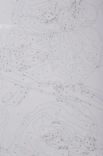 Набор для росписи по номерам "Зимние птенцы" 40*50 см, IDEA2-GX47748, ТМ "99IDEAS" - фото 7