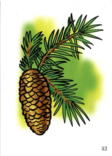 Я досліджую світ. 1-4 класи. Рослини. Комплект наочності - фото 7