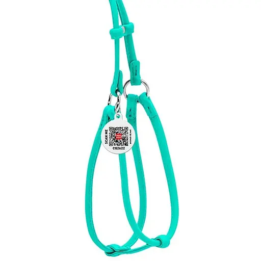 Шлея з повідцем для собак Waudog Glamour шкіряна з QR паспортом, кругла, ментоловий - фото 2
