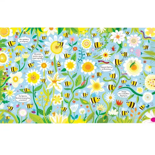 Подивись і знайди. Комахи - фото 2