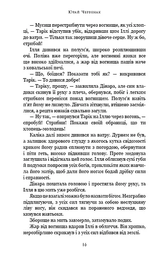 Богатир. Книга 1. Сталеве жезло - фото 11