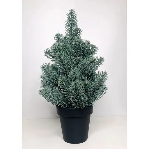 Ялинка Hvoya Premium лита у горщику 50 см блакитна - фото 3