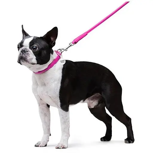 Повідець для собак Waudog Glamour шкіряний круглий, рожевий - фото 5