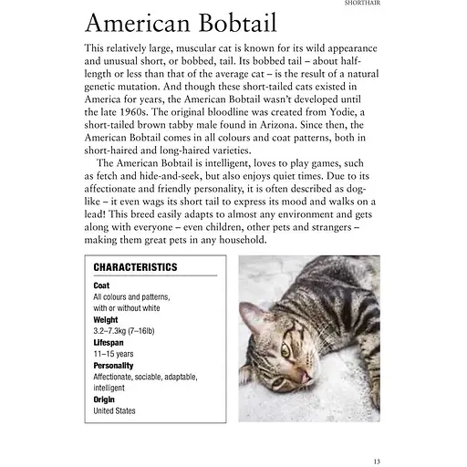 Cat Breeds: Characteristics, Breeds, Care, Origins - Фотопулос Джулианна - фото 5