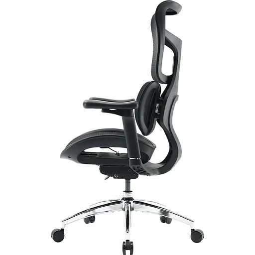 Крісло офісне Sihoo Doro S100 Mesh Black (S100-M301) - фото 4