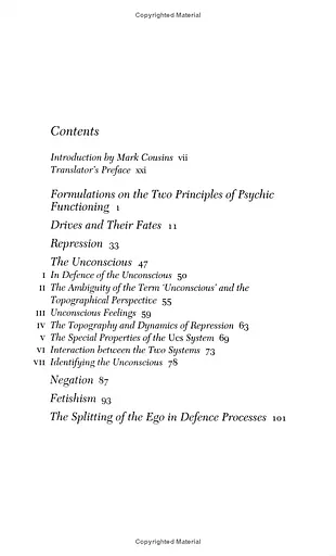 The Unconscious - фото 2