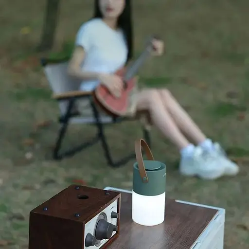 Лампа антимоскітна DK WT-T30 White (136266) - фото 6