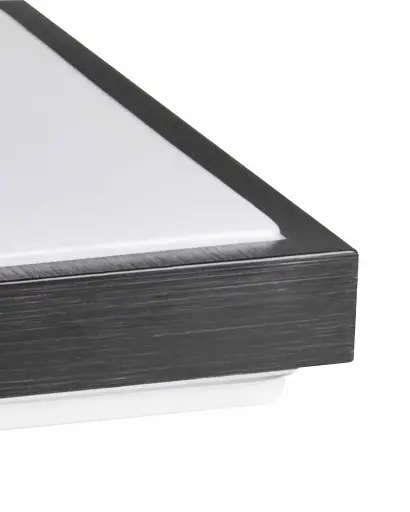 Світильник стельовий Goldlux 327314 Kazimierz E27 2x20W IP20 Bk - фото 3