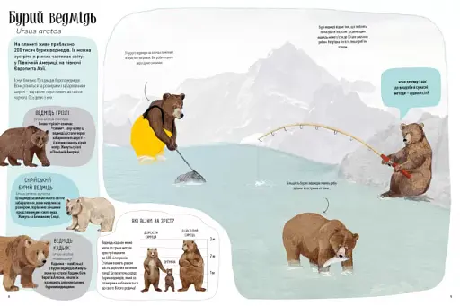 Ведмежа книга - фото 3