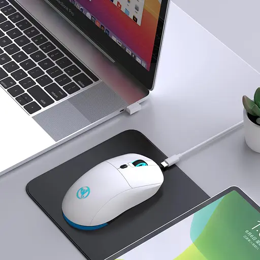 Миша бездротова з акумулятором та підсвіткою HXSJ T20 2.4G Hz White - фото 5