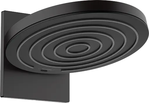 Верхний душ Hansgrohe Pulsify 260 2jet EcoSmart с держателем Matt Black 24151670, Черный матовый - фото 1