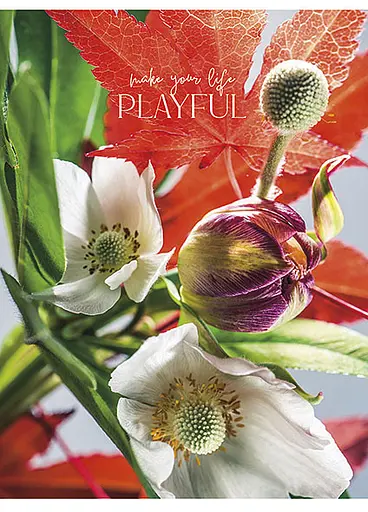 Комплект 4 шт загальних зошитів. Зошит Школярик А5 80 арк. у лінію 5074 4823088219333 - фото 2