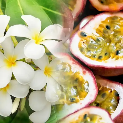 Наполнитель для аромадифузора Collines de Provence моной и маракуя 200 мл - фото 2