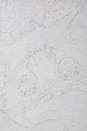 Набор для росписи по номерам "Милый котенок в подсолнечнике" 40*50 см, IDEA2-GX47753, ТМ "99IDEAS" - фото 7