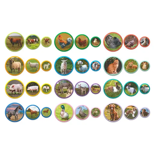 Детский магнитный набор Монтессори "Семьи животных: ферма" DoDo Toys 200271, 36 элементов - фото 2