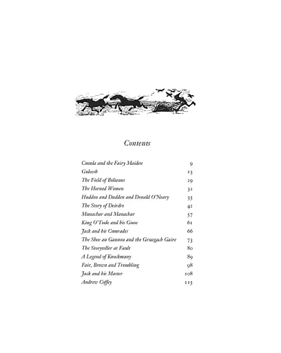 Irish Fairy Tales - фото 3