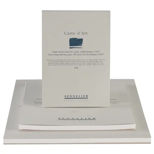 Альбом-склейка мультитехника Sennelier Carte d'art, 15 листов, 340 г/м, 14,8x21 см - фото 3