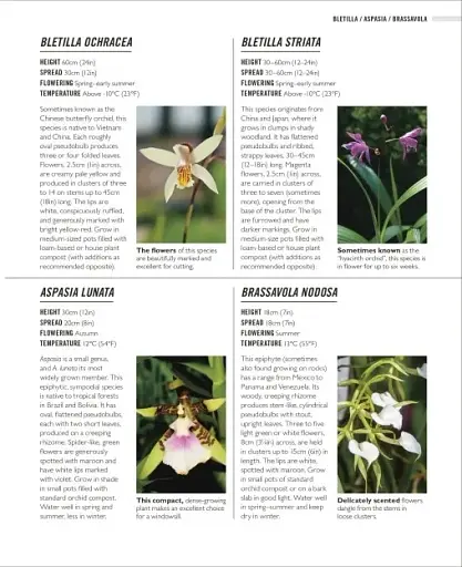 Grow Orchids. Essential Know-how and Expert Advice for Gardening Success - фото 9