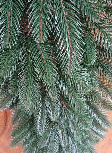 Гирлянда из хвои Премиум 1.5 м литая (Зеленая) - фото 5