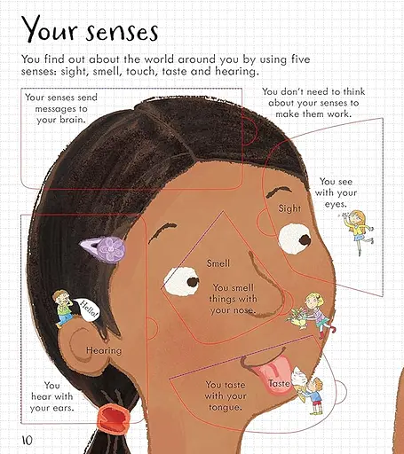 Look Inside Your Body - фото 4