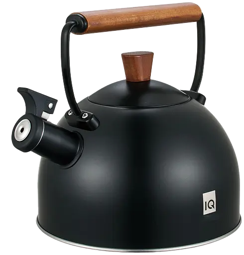 Чайник IQ Вe Natural 2,5 л (7004629) - фото 2