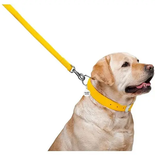 Повідець для собак Waudog Glamour шкіряний, жовтий - фото 4