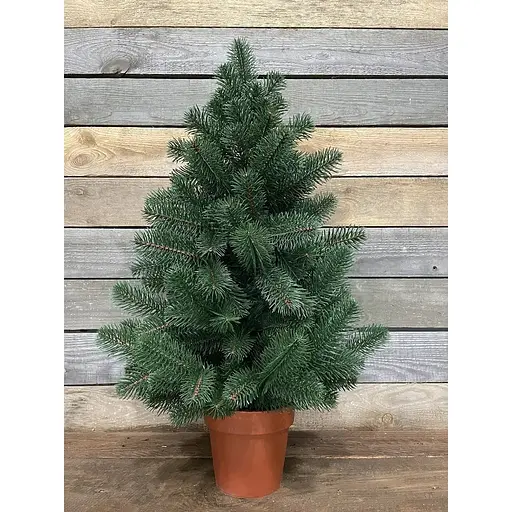 Ялинка Hvoya Premium лита у горщику 70 см зелена