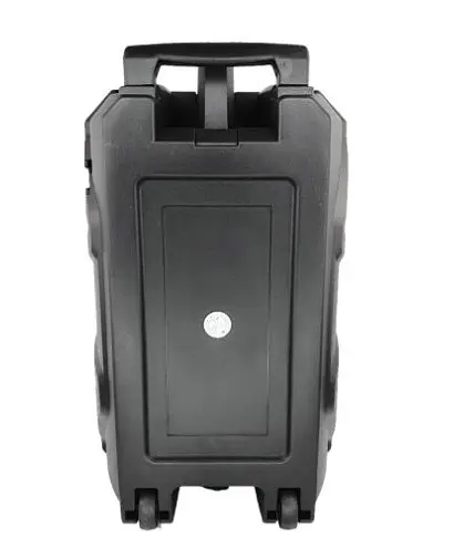 Колонка Big LT-818 bluetooth + микроон (245х220х385) USB/MO3/FM/TWS black - фото 4