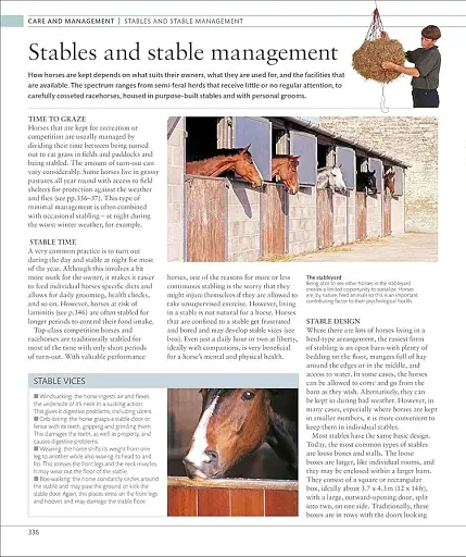 The Horse Encyclopedia (new edition) - фото 12