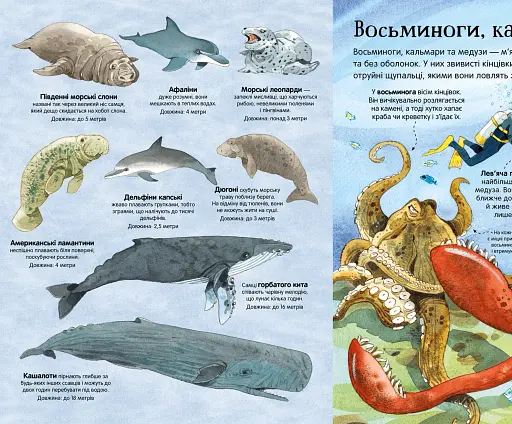 Велика книга морських мешканців - фото 5