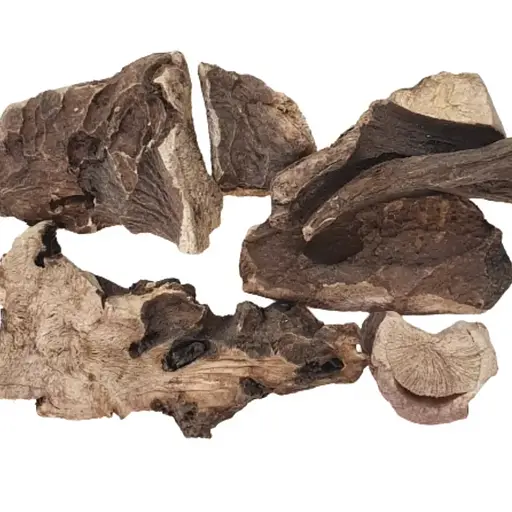 100 г півонія незвичайна коріння сушене - свіжий урожай