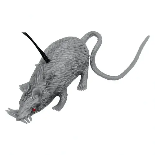 Прикол Мышка - фото 1