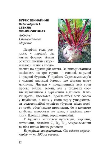 Знайомі незнайомці та їхні цілющі соки - фото 10