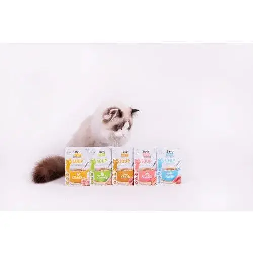 Корм влажный Brit Care Soup with Salmon с лососем 75 г - фото 5