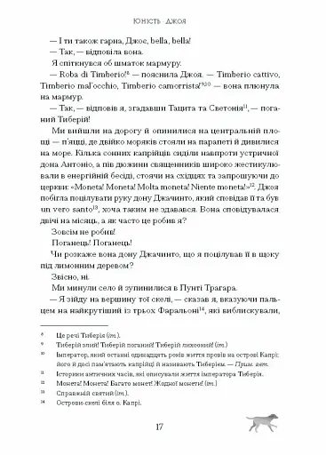 Історія про Сан Мікеле - фото 9