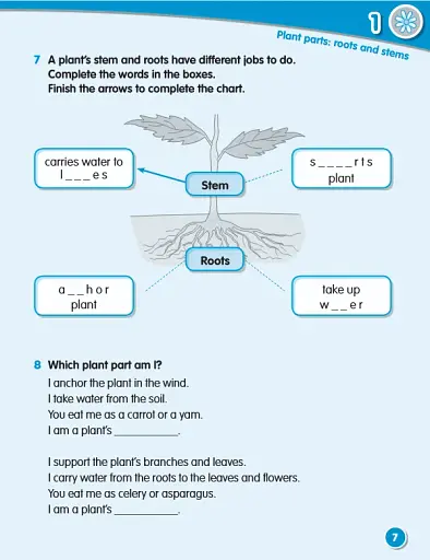 Macmillan Science. Level 3. Workbook - фото 5