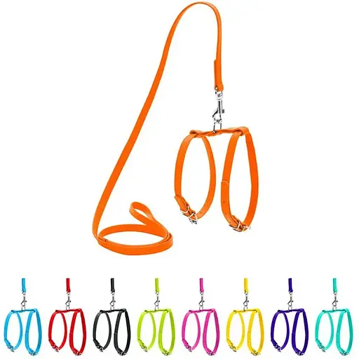 Шлея з повідцем для собак Waudog Glamour шкіряна з QR паспортом, помаранчевий - фото 3