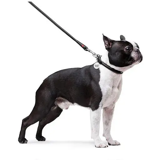 Повідець для собак Waudog Glamour шкіряний круглий, чорний - фото 3