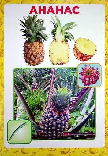 Розповімо дітям. Про фрукти та ягоди - фото 3