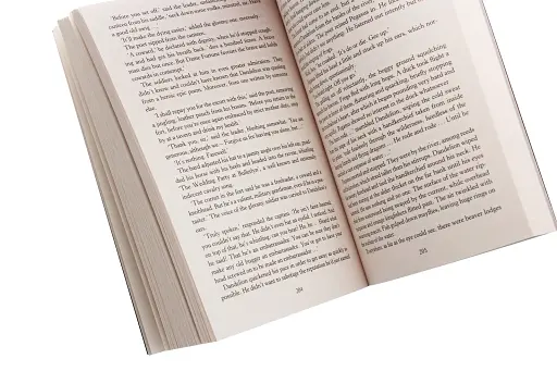 The Witcher. Time of Contempt - фото 3